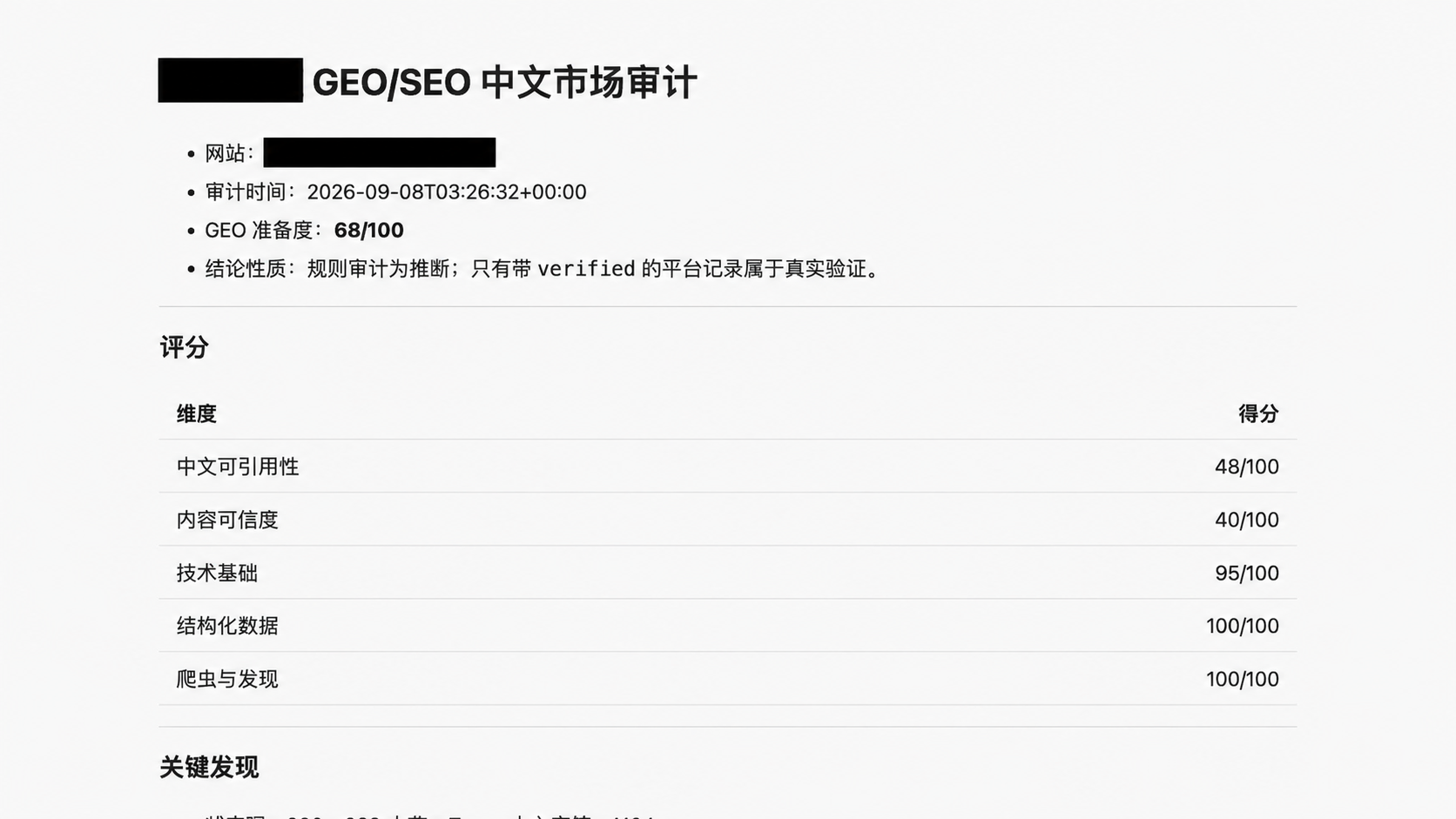 审计报告阅读截图,公司名称及网址已去敏。数据为该次审计结果,并非当前实时状态。